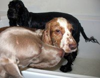 IMG_0007_edited