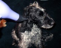 IMG_0024_edited