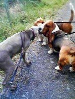 Group Hug